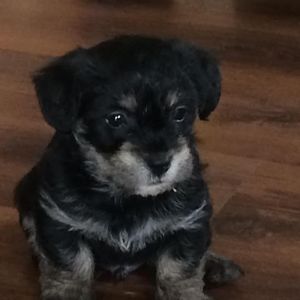 Meet your Posher, Jackie